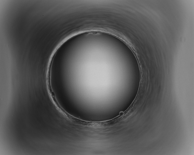 X0000100481536200806131220