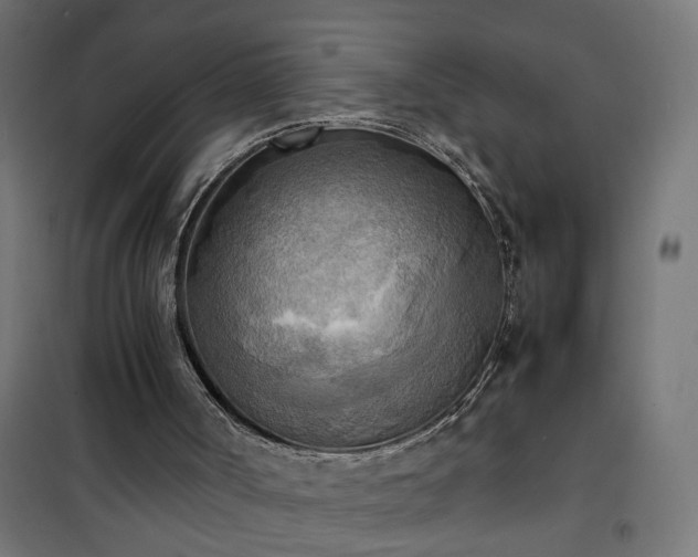 X0000100480002200806201640