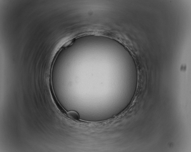 X0000100480003200806201640