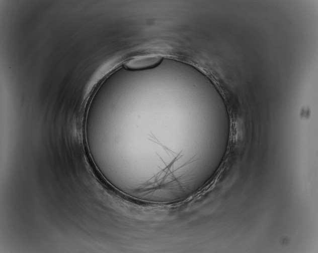 X0000100480004200806201640