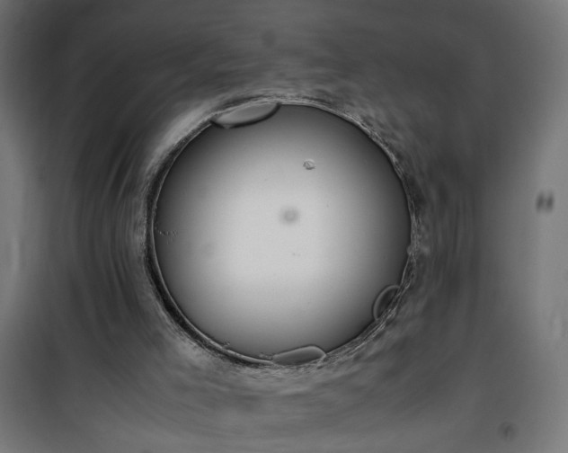 X0000100480005200806201640