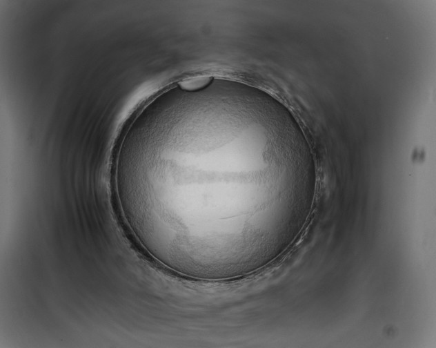 X0000100480006200806201640