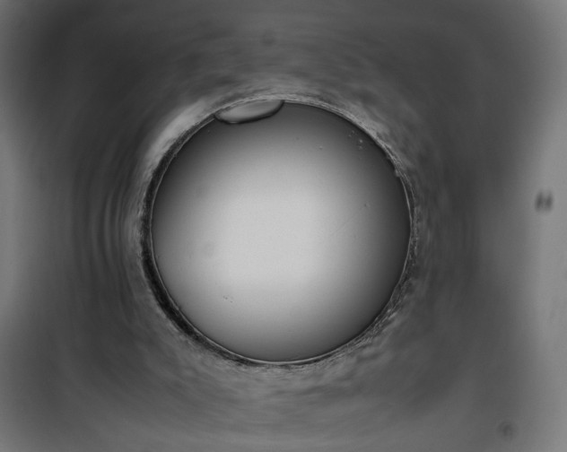 X0000100480007200806201640