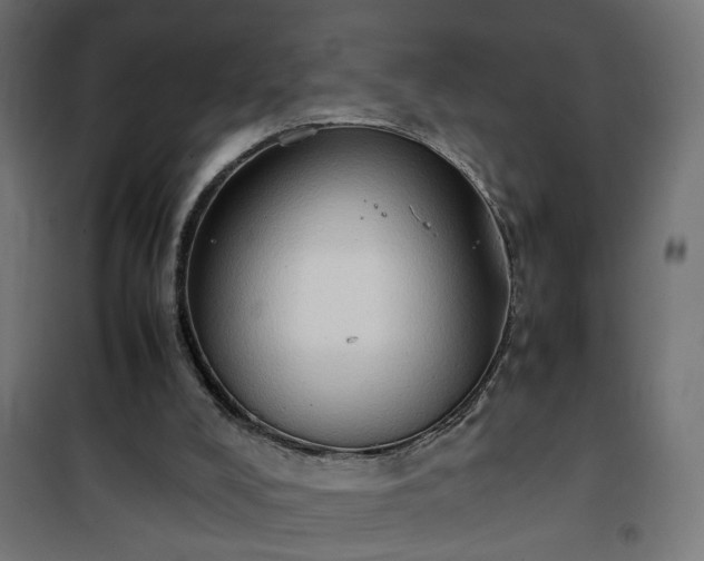 X0000100480008200806201640