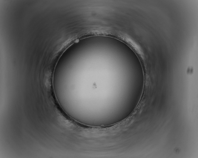 X0000100480009200806201640