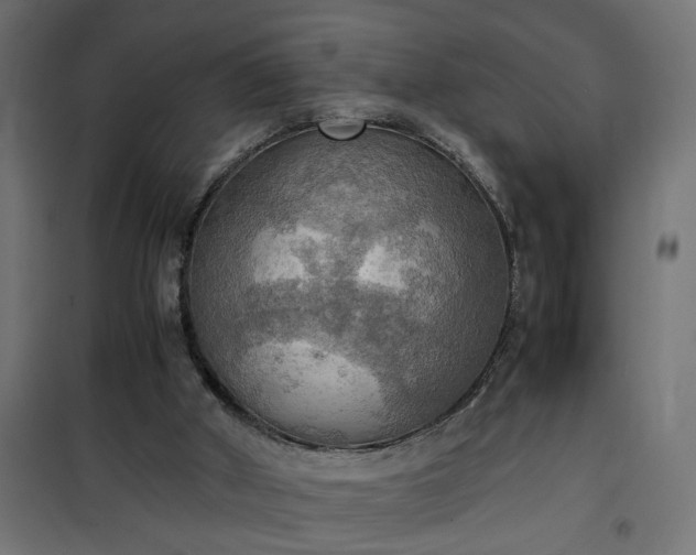 X0000100480010200806201640