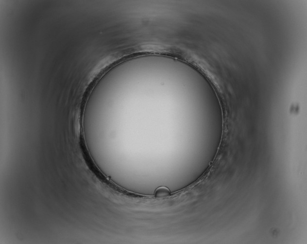 X0000100480011200806201640