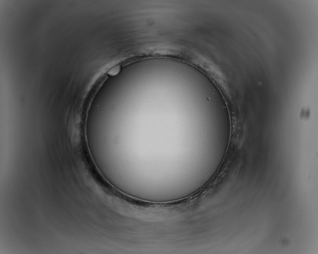 X0000100480012200806201640