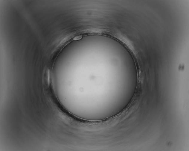 X0000100480013200806201640