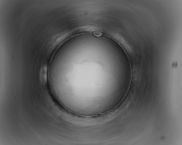 X0000100480014200806201640