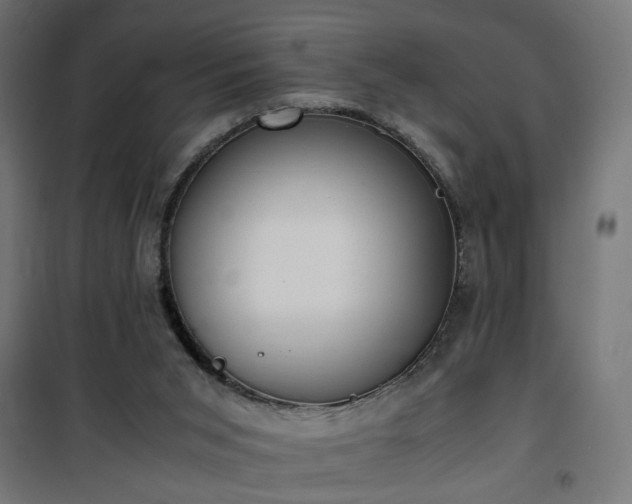X0000100480015200806201640