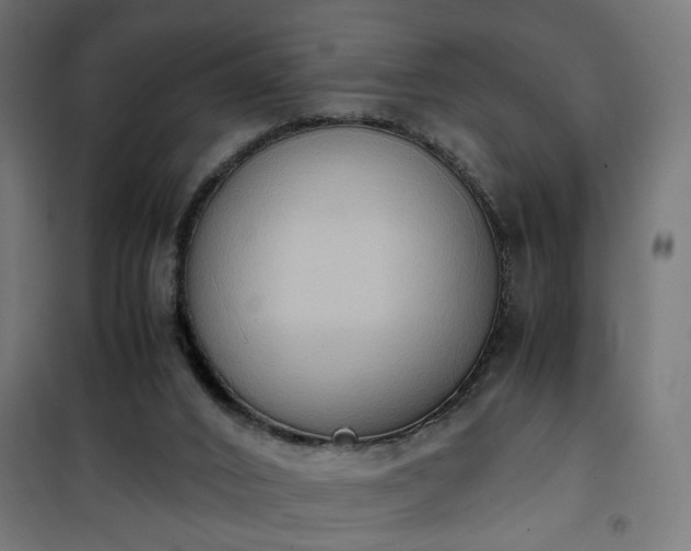 X0000100480016200806201640