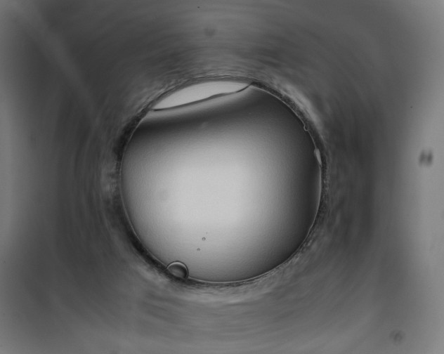 X0000100480017200806201640