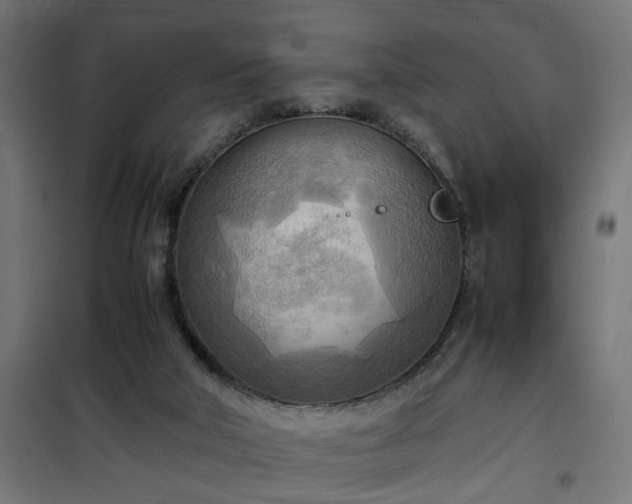 X0000100480018200806201640