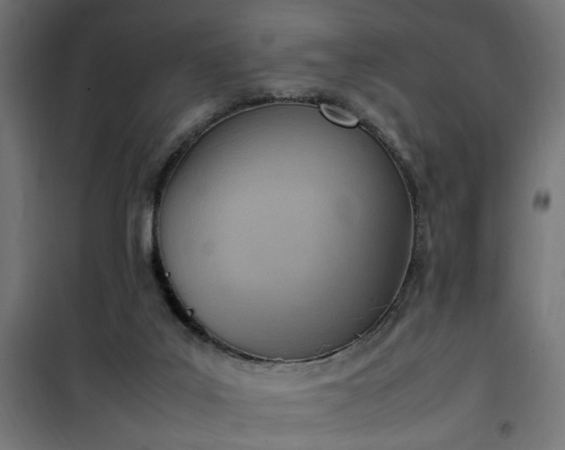X0000100480019200806201640