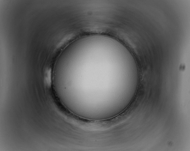 X0000100480020200806201640