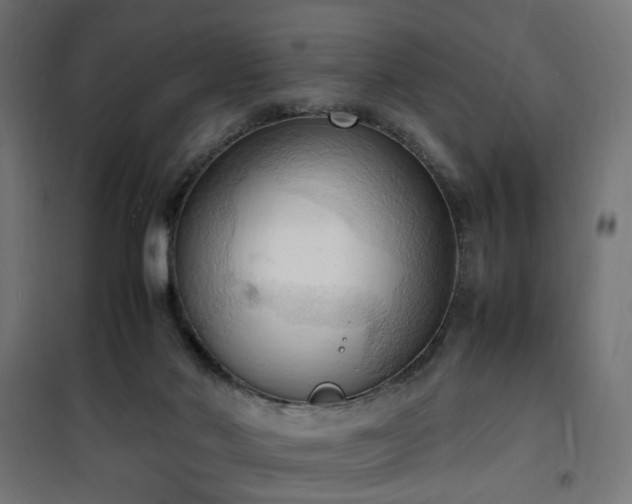X0000100480022200806201640