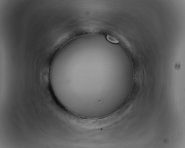 X0000100480023200806201640
