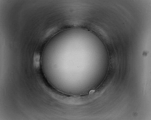 X0000100480024200806201640