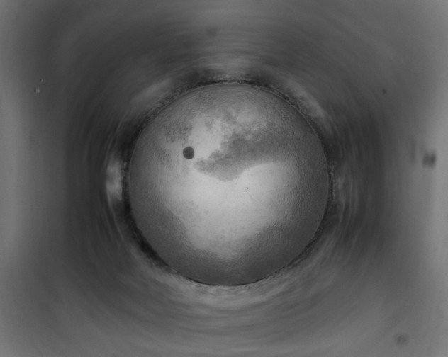 X0000100480026200806201640