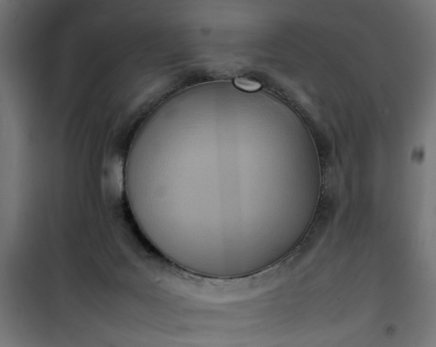X0000100480027200806201640