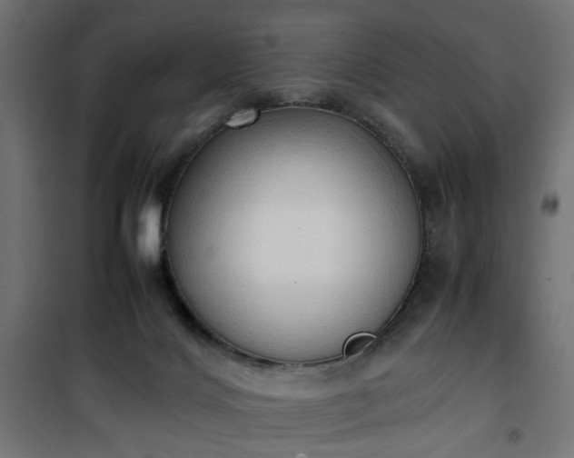 X0000100480028200806201640