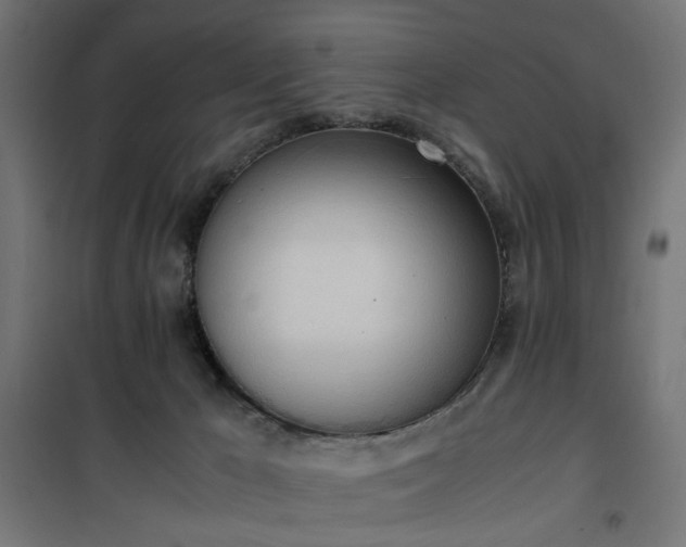 X0000100480029200806201640