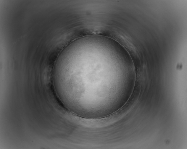 X0000100480030200806201640