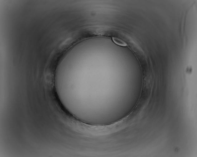 X0000100480031200806201640