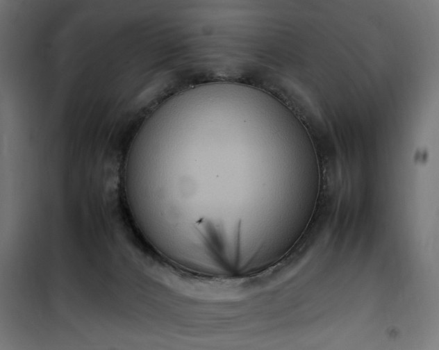 X0000100480032200806201640