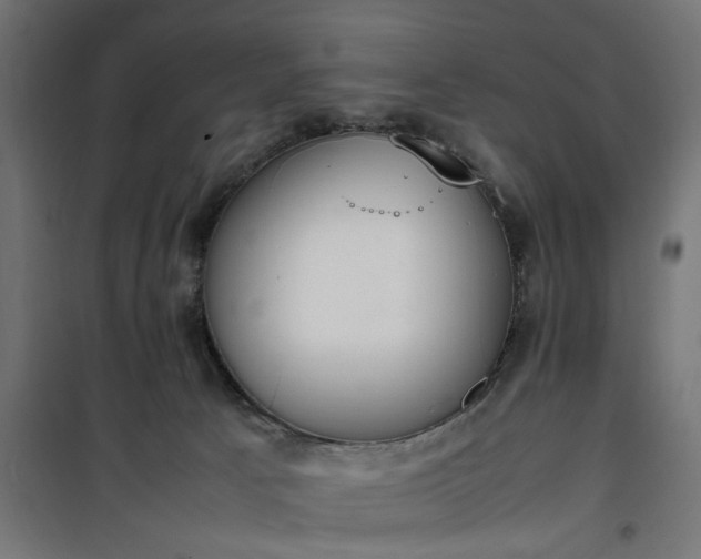 X0000100480033200806201640