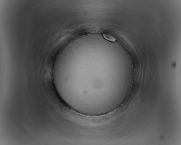 X0000100480035200806201640