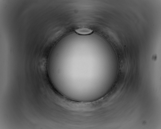 X0000100480036200806201640