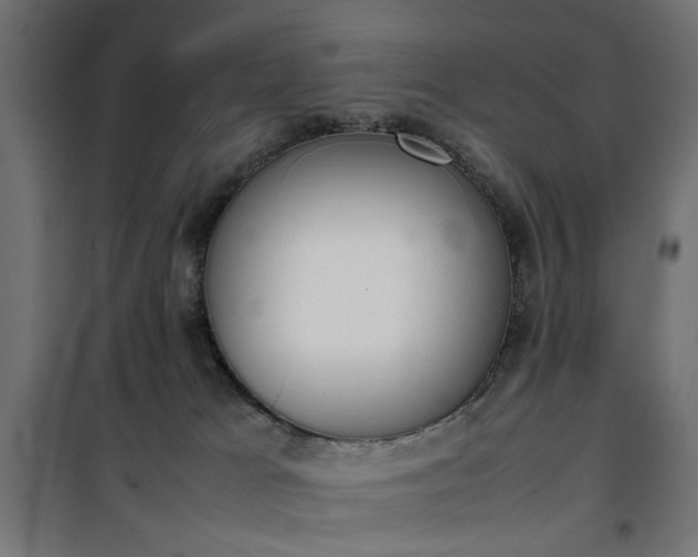 X0000100480037200806201640