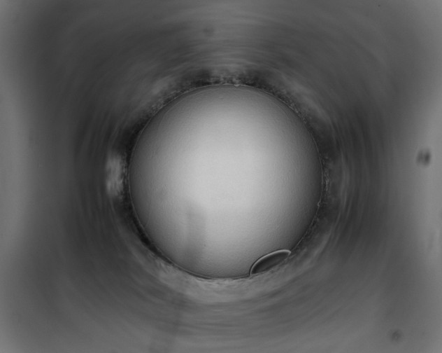 X0000100480038200806201640