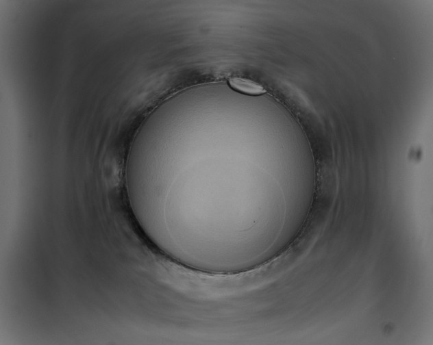 X0000100480039200806201640