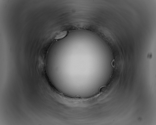 X0000100480040200806201640