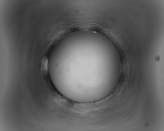 X0000100480041200806201640