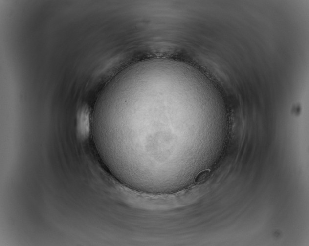 X0000100480042200806201640