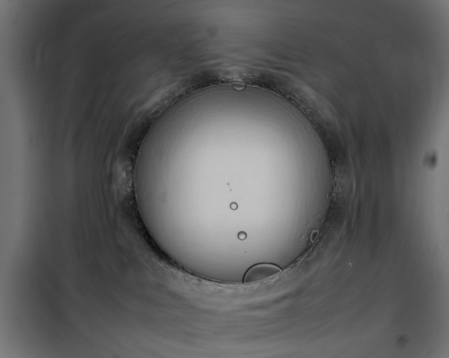 X0000100480043200806201640