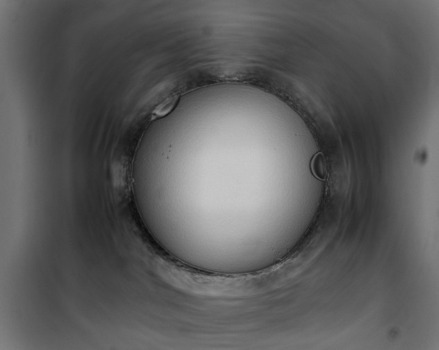 X0000100480044200806201640