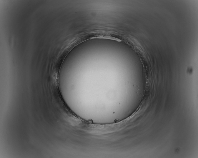 X0000100480045200806201640