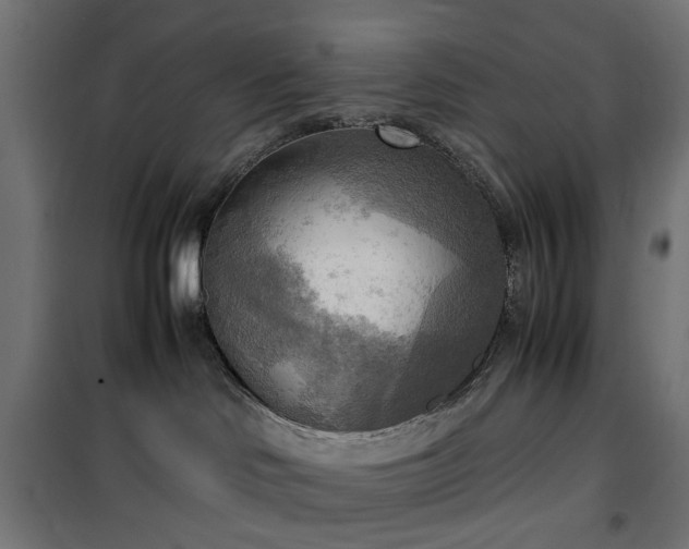 X0000100480046200806201640
