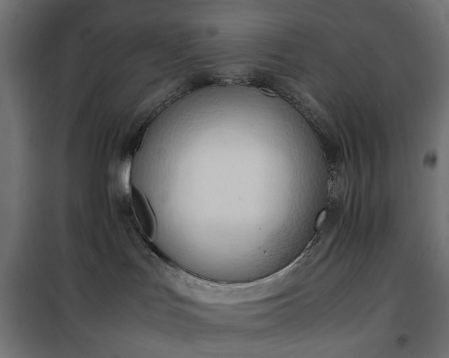 X0000100480047200806201640