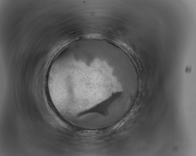 X0000100480049200806201639