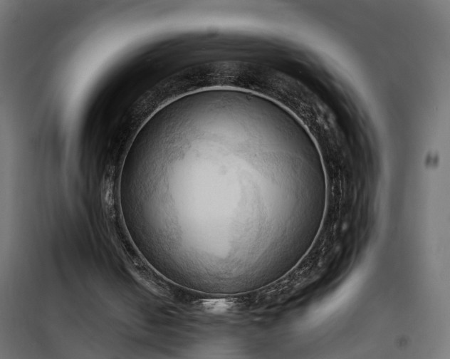X0000100480050200806201639