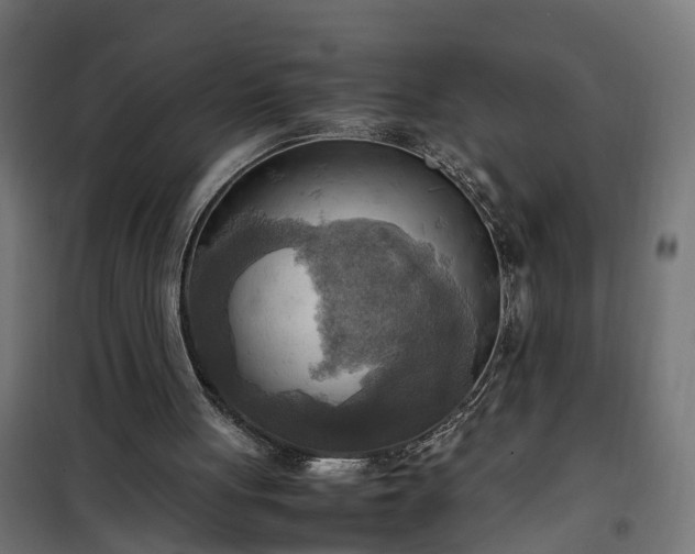 X0000100480051200806201639