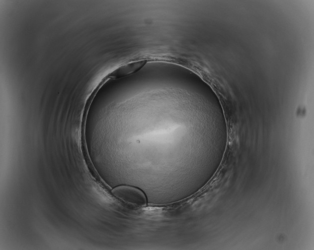 X0000100480052200806201639