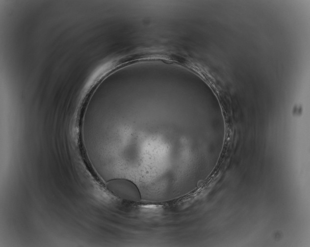 X0000100480053200806201639