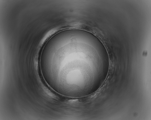 X0000100480054200806201639